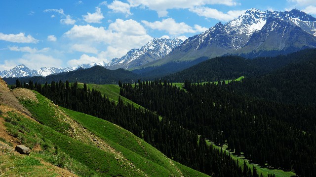 花呗合作套餐_白条平台套现软件