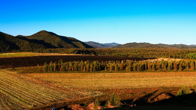 可以把花呗提现吗_白条变现商家