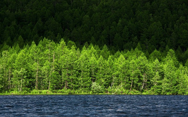 微信花呗app_济宁抖音月付商家怎么提现