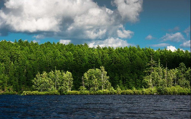 京东白条提现能还京东吗_花呗套1500