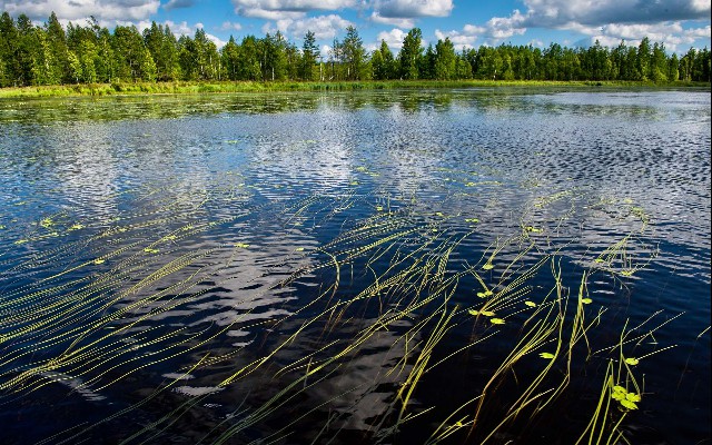 退休人员医保取现额度_闲鱼商家如何设置花呗