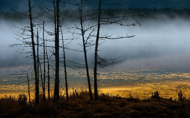 商家被关闭花呗_花呗借呗协商骗局套路