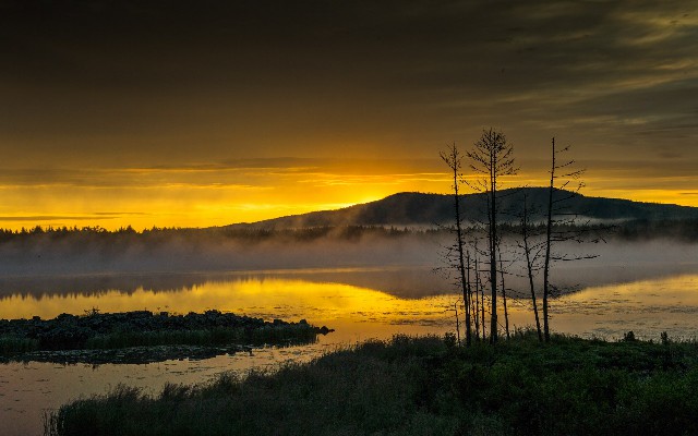 抖音月付提现免息多少天_花呗提现五千