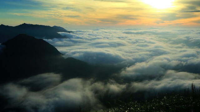 支付宝商家版如何用花呗_微信团购如何开通花呗