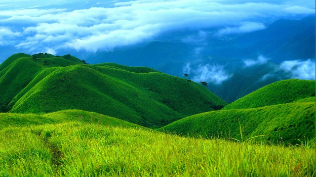 怎么把微信花呗套出来_乐清套花呗