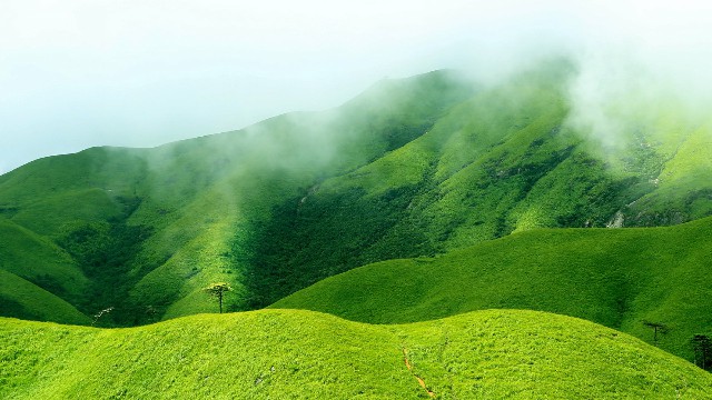 白条商家椅子_羊小咩怎样套出来用