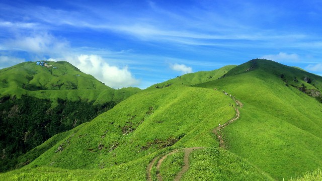 如何变现白条_抖音月付可以免费提现吗