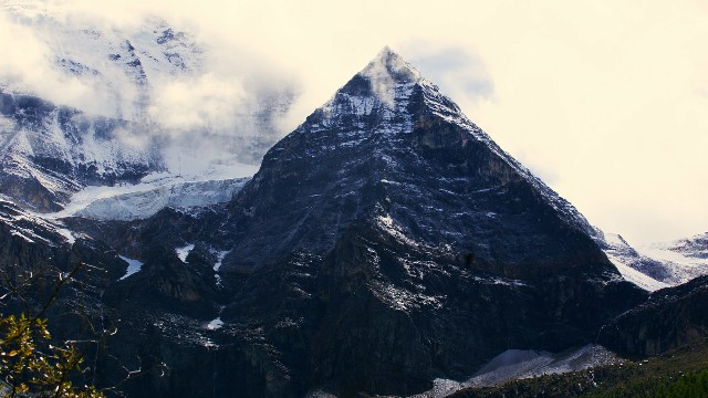 中信白条卡套现_花呗分期扣商家服务费吗