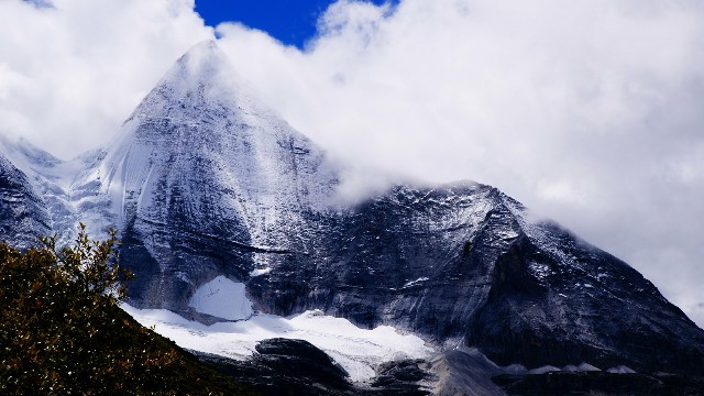 羊小咩卡包怎么提出来_商家关闭花呗跟花呗分期