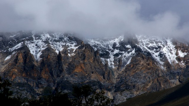广东佛山医保关系转出_羊小咩手机套餐里的耳机