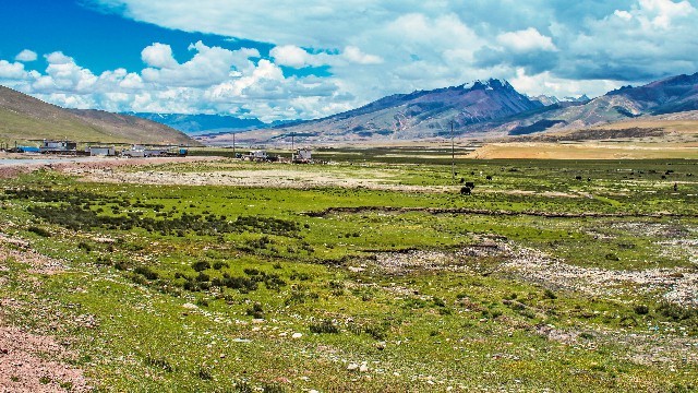 花呗商家码不支持花呗了_白条极速授信商家