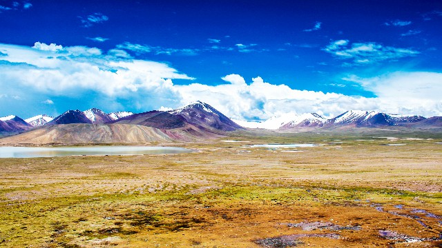 花呗欠款支付宝扣银行卡_金东白条如何提出银行卡