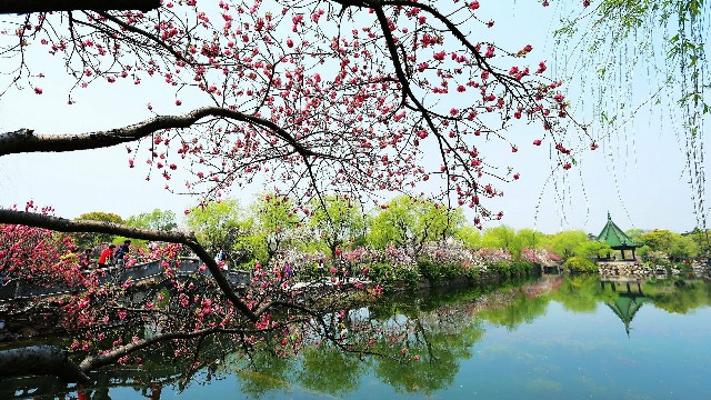 抖音月付怎样找商家支付_白条套现中介