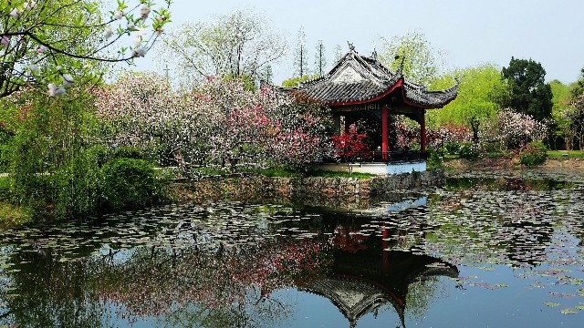 花呗额度2400图片_南宁医保提现比例