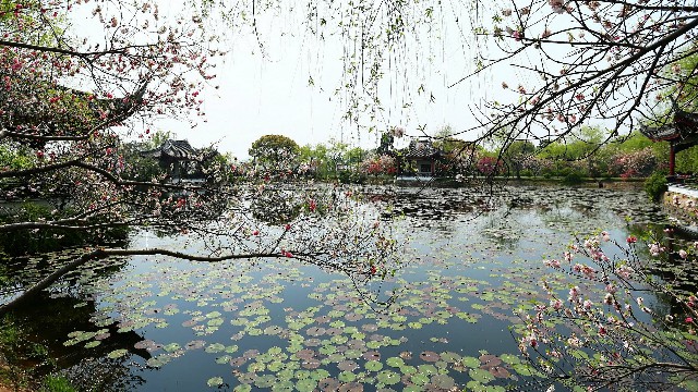 白条额度怎样套现_羊小咩提前还款要不要付利息