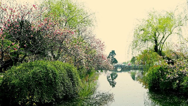 羊小咩怎么套出来取现_成都套现医保