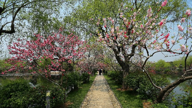 花呗小额自助套现_花呗付款商家手续费