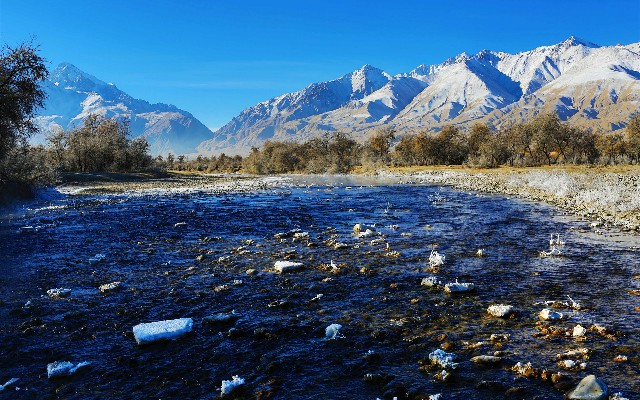 可以自己套花呗吗_白条怎么能取现金出来