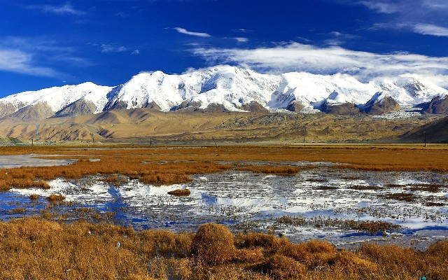 羊小咩套现是骗人吗_手机花呗如何套现金