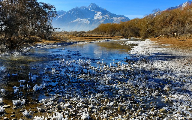 羊小咩现在还放款吗_花呗怎么去提现到微信