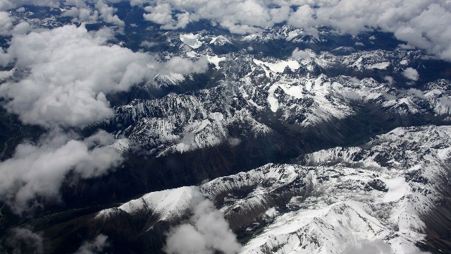 羊小咩便利卡包怎么套出来_羊小咩提示可再次提现