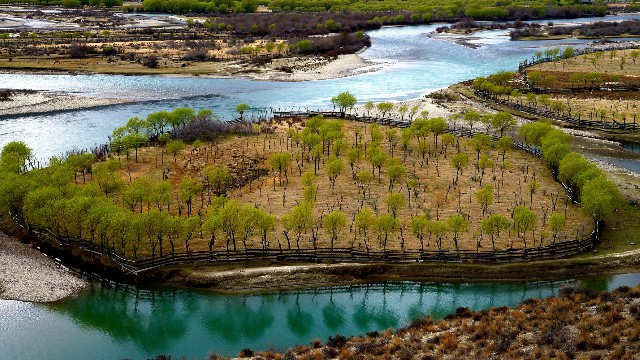 花呗额度12400_羊小咩额度冻结怎么提现