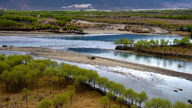 微信上什么是花呗付款_微信上的花呗怎么来的快