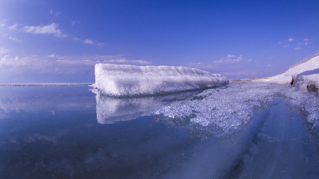 白条取出额度多少_商家支持抖音月付的话费