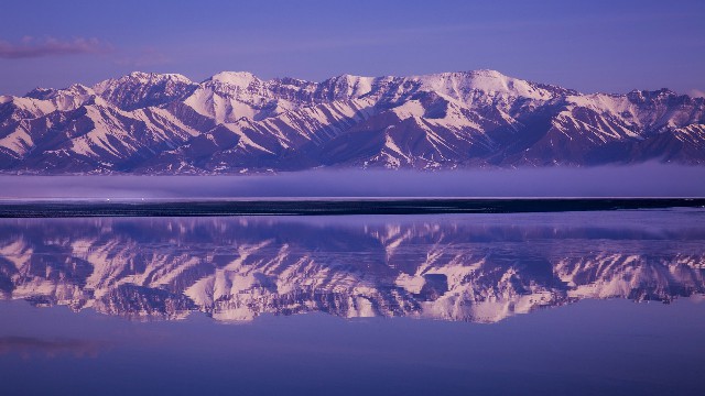 联通花呗24期几号还_花呗付钱对商家
