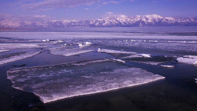 羊小咩缺待揽收4天没发出来_抖音月付的额度怎么提现