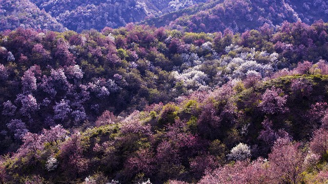 手机白条套现_抖音月付商家费用高吗是真的吗