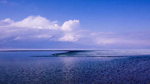 商家花呗分期利息_为什么花呗不能微信还款