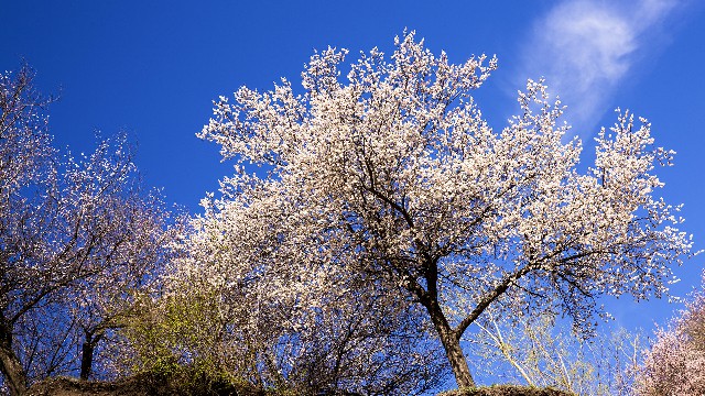 淘宝花呗商家花呗分期_开通花呗还用银行卡线吗
