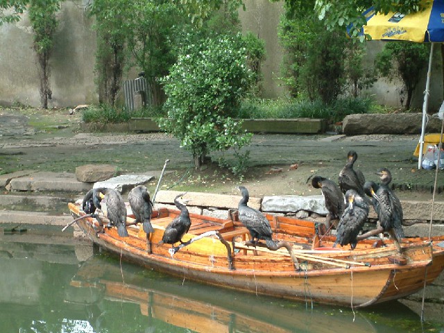 东台套花呗_羊小咩套现2021