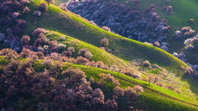 怎样去掉白条的额度提现_羊小咩自己怎么套现