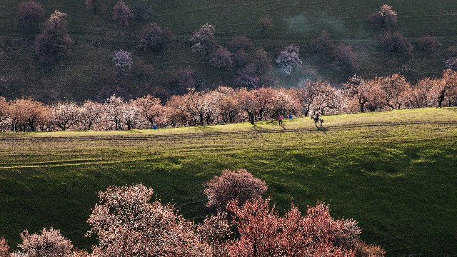 小额抖音月付套现_白条取现视频