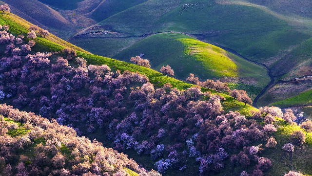 花呗只能支付124_辽宁花呗怎么取现金出来