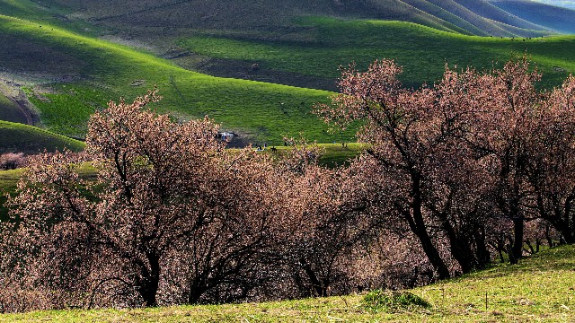 抖音月付可用的针织衫商家_微信白条取现靠谱吗