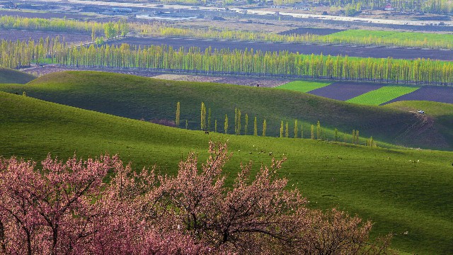 商家码为啥不支持花呗了_抖音月付中心零钱怎么提现