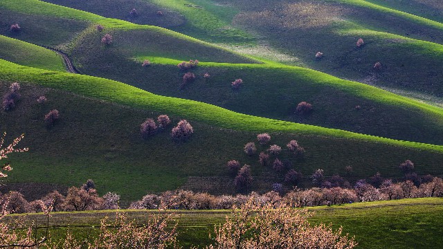 羊小咩怎么出库_如何用微信来还花呗