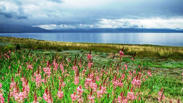 哪里支持白条套现_如何京东套现白条