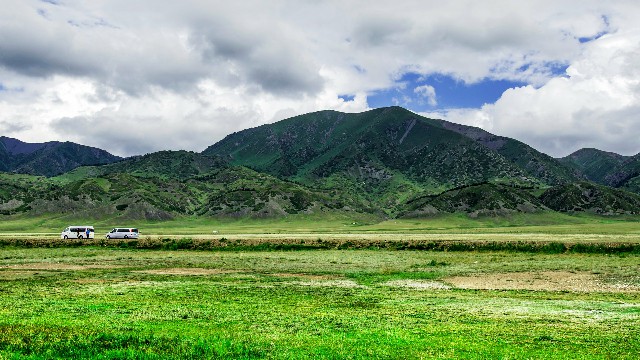 商家POS机扫不了花呗_省内医保转出要多久