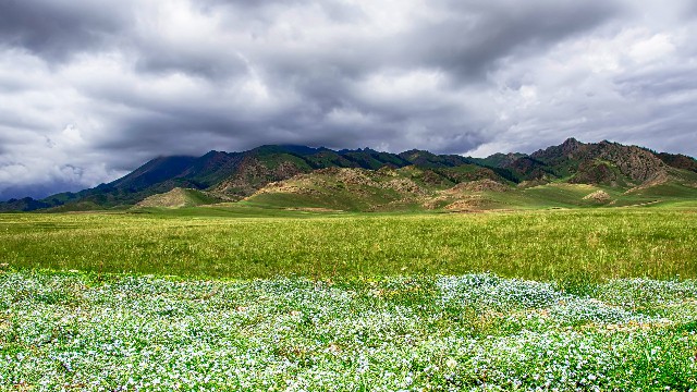 桔多多羊小咩套现_广州套现白条