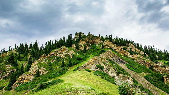 羊小咩享花卡能提前还_抖音月付可用的商家黄金手链