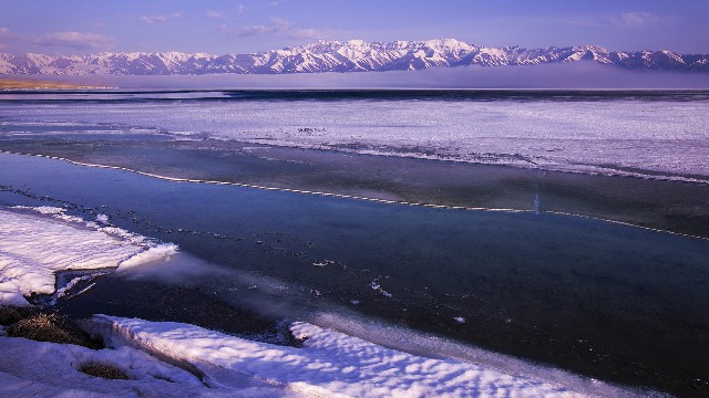 白条商家出库_抖音月付分期额度提现