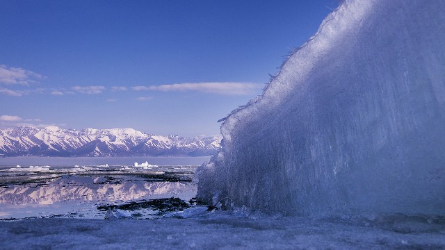 花呗可以刷卡到银行卡吗_花呗套299