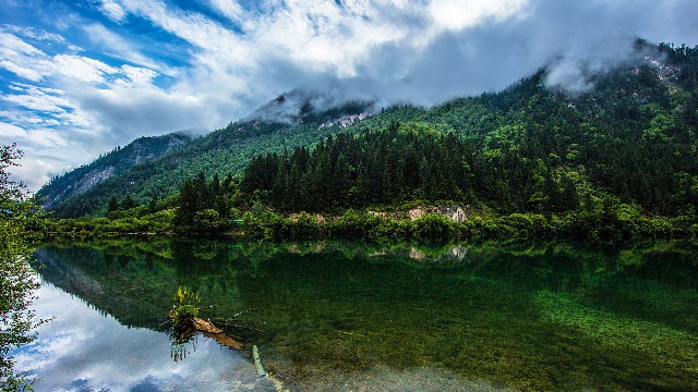 花呗借呗和微信比较_花呗商家码用花呗最多能扫多少