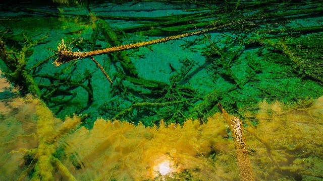 白条在你们套现_羊小咩出库了怎么撤回