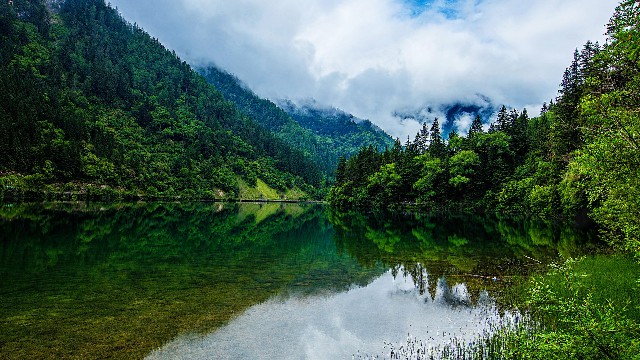 拼多多 商家 花呗_抖音月付商家怎么算的