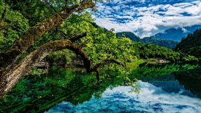 抖音月付哪些商家可以退回零钱_我的医保提现